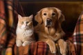 Cat And Dog In Cozy Beige Plaid On The Couch. Generative AI Royalty Free Stock Photo