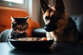 Cat and dog eating together from bowl of food in room Royalty Free Stock Photo