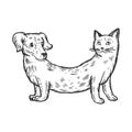 Cat dog fake animal engraving vector illustration