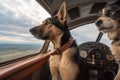cat and dog flying in vintage plane, with cockpit view visible Royalty Free Stock Photo