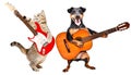 Cat and dog with guitars