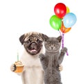 Cat and Dog holding balloons and cake. isolated on white background Royalty Free Stock Photo