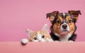 cat and dog, love your pet day, banner, greeting card, social media, pink background Royalty Free Stock Photo