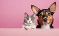 cat and dog, love your pet day, banner, greeting card, social media, pink background Royalty Free Stock Photo