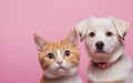 cat and dog, love your pet day, banner, greeting card, social media, pink background Royalty Free Stock Photo