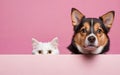 cat and dog, love your pet day, banner, greeting card, social media, pink background Royalty Free Stock Photo