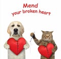 Pets mending broken hearts