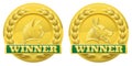 Cat and dog pet winners medals Royalty Free Stock Photo