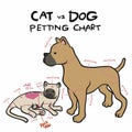 Cat and dog petting chart cartoon illustration