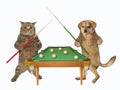 Cat with dog play billiards