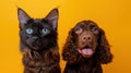 The cat and dog portrait.AI generated image Royalty Free Stock Photo