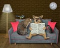 Cat with dog read newspaper at home Royalty Free Stock Photo