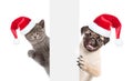 Cat and Dog with red christmas hats peeking from behind empty board and looking at camera. isolated on white background Royalty Free Stock Photo