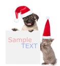 Cat and Dog with red christmas hats peeking from behind empty board and looking at camera. isolated on white background Royalty Free Stock Photo
