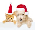 Cat and dog with red christmas hats peeking from behind empty board and looking at camera. isolated on white background Royalty Free Stock Photo