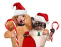 Cat and dog in red hat holds a Christmas candy. Royalty Free Stock Photo