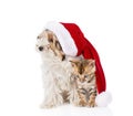 Cat and dog with red santa hat. isolated on white background Royalty Free Stock Photo