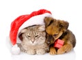 cat and dog with santa hat and red box. isolated on white background Royalty Free Stock Photo