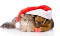 cat and dog with santa hat and red box. isolated on white background Royalty Free Stock Photo