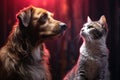 a cat and a dog sitting near each other, both looking sideways Royalty Free Stock Photo