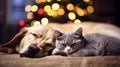 A cat and a dog sleep next to each other on the floor. In the background there are lights on a Christmas tree. Royalty Free Stock Photo