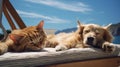 Cat and dog sleeping on a hammock on a sunny day. Generative AI