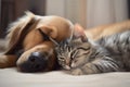 Cat dog together sleep home. Generate Ai