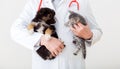 Cat and dog in Vet doctor hands. Doctor veterinarian keeps kitten and puppy in hands in white coat with stethoscope. Baby pets in Royalty Free Stock Photo