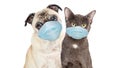 Cat and Dog Wearing Protective Surgical Face Masks Royalty Free Stock Photo