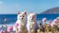 cat and dog ,white kitten and puppy sit play on sunset in sea water on beach Royalty Free Stock Photo