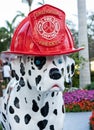 Cat and Dogs walkway just opened in Maurice A. Ferre Park in downtown of Miami