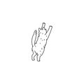 Cat domestic animal sharpen your claws. Pet outline black white doodle vector illustration.