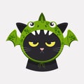 Funny black cute cat wearing a green dragon costume hat for the holiday. Royalty Free Stock Photo