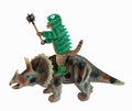 Cat in dragon clothing rides dinosaur 2 Royalty Free Stock Photo