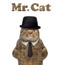 Cat dressed like dandy 2 Royalty Free Stock Photo