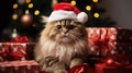 The cat is dressed like Santa Claus and wears red Santa hats The Christmas tree and gifts can be seen in the background Royalty Free Stock Photo