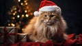 The cat is dressed like Santa Claus and wears red Santa hats The Christmas tree and gifts can be seen in the background Royalty Free Stock Photo