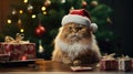 The cat is dressed like Santa Claus and wears red Santa hats The Christmas tree and gifts can be seen in the background Royalty Free Stock Photo