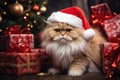 The cat is dressed like Santa Claus and wears red Santa hats The Christmas tree and gifts can be seen in the background Royalty Free Stock Photo