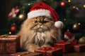 The cat is dressed like Santa Claus and wears red Santa hats The Christmas tree and gifts can be seen in the background Royalty Free Stock Photo