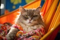 a cat dressed up in sunglasses is sleeping in a hammock, Royalty Free Stock Photo