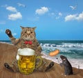 Cat drinks beer from mug on beach 3 Royalty Free Stock Photo