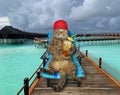 Cat drinks cocktail on wooden pier 2 Royalty Free Stock Photo