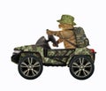 Cat drives military suv Royalty Free Stock Photo