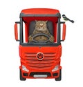 Cat driving red truck