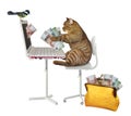 Cat earns rubles from laptop Royalty Free Stock Photo