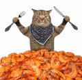 Cat eating a pile of shrimp