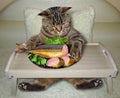 Cat eats stuffed fish from a bed tray Royalty Free Stock Photo