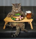 Cat eats stuffed fish from a bed tray 2 Royalty Free Stock Photo