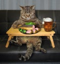 Cat eats stuffed fish from a bed tray 2 Royalty Free Stock Photo